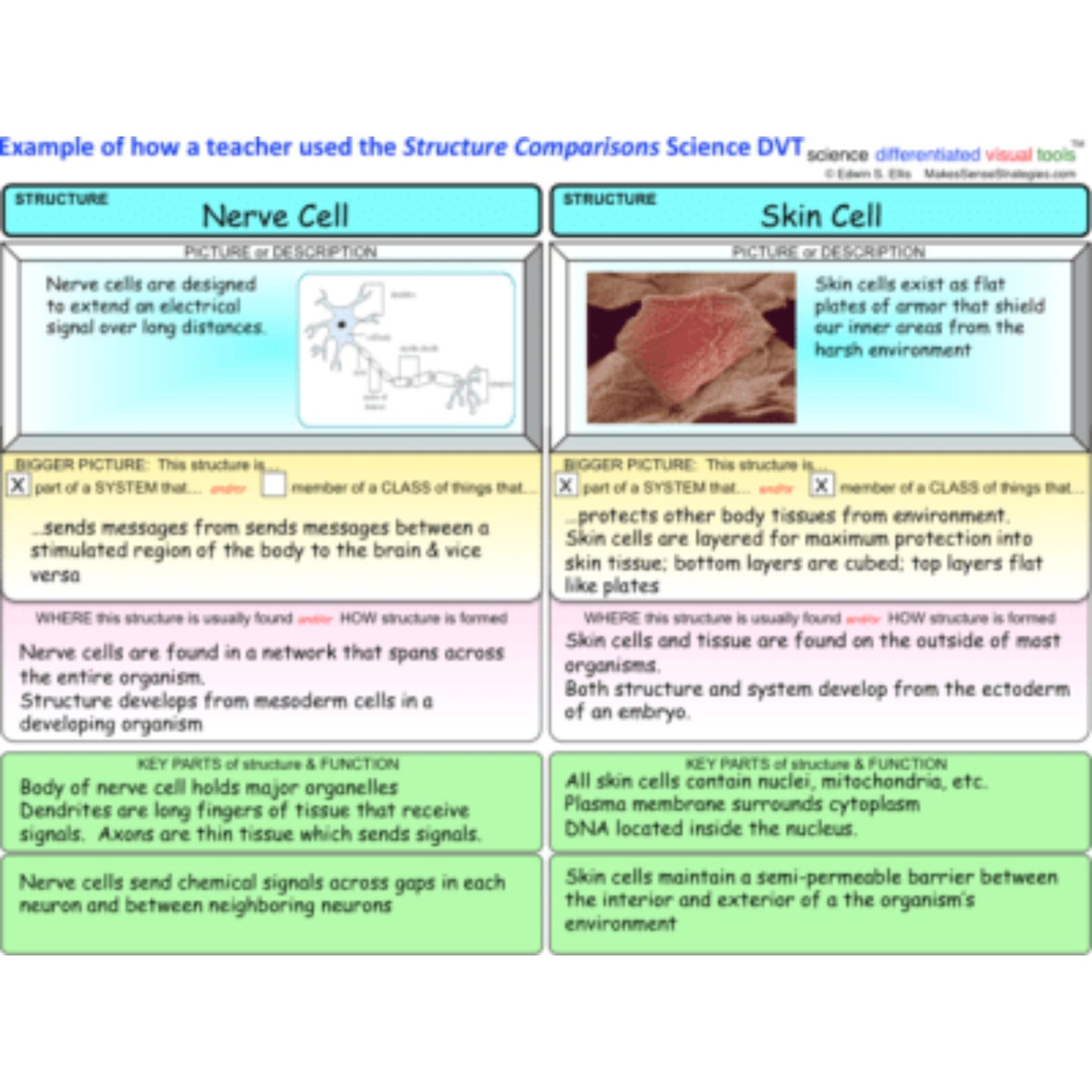6-8 Graphic Organizers for Science